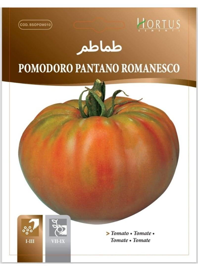 PANTANO Romanesco Tomato Seeds
